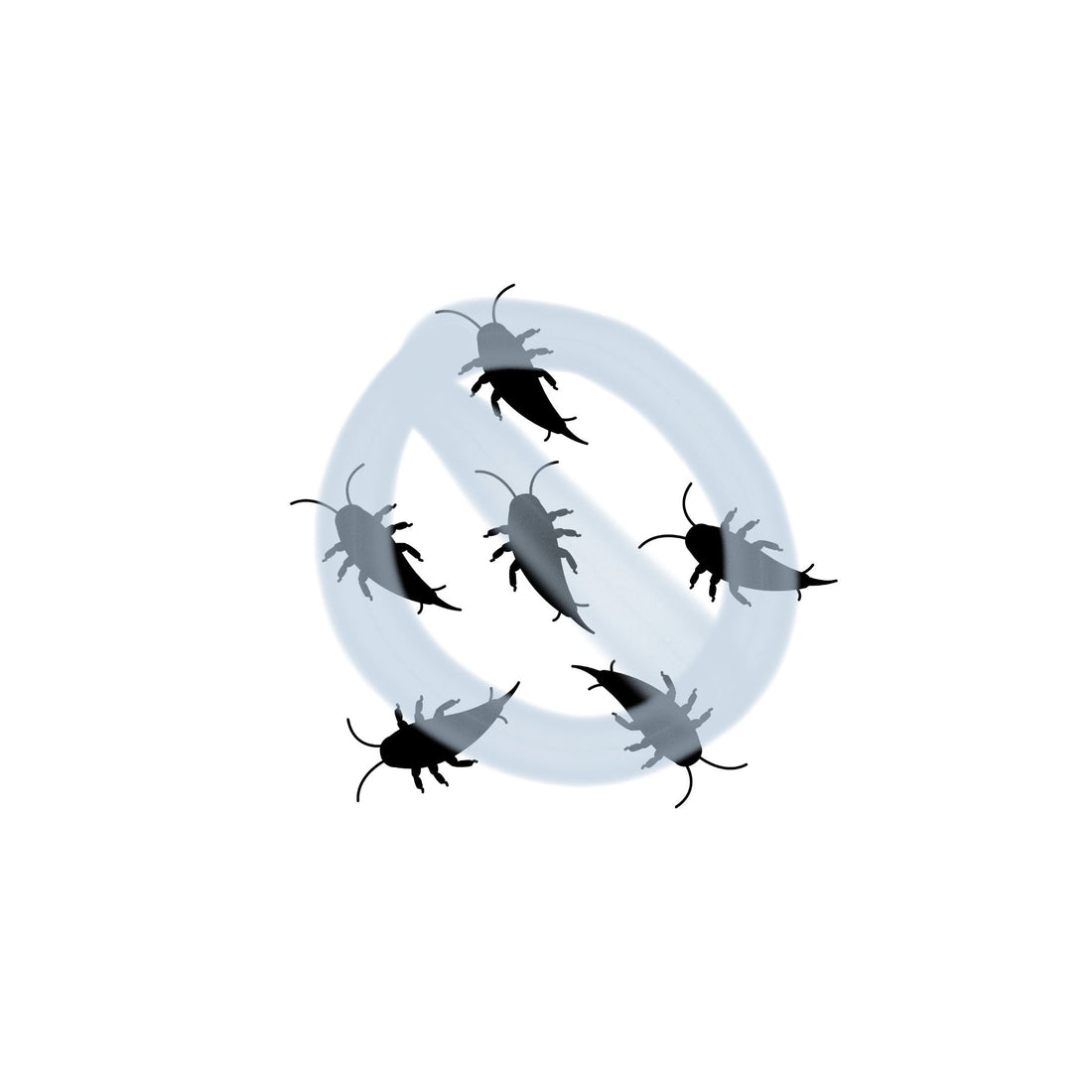 Silverfish Control